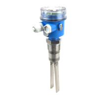 Preview: Endress+Hauser Soliphant M FTM50