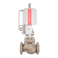 Preview: Flowserve Valtek Mark One
