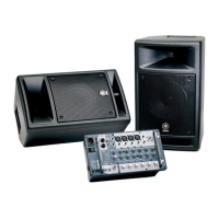 Preview: Yamaha Stagepas 300