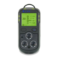 Preview: Teledyne GMI PS200