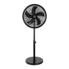 Fan Logo
