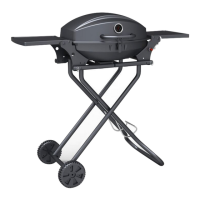 Preview: gascraft G1013-NZ