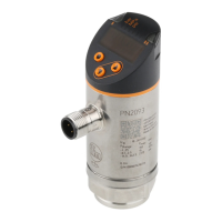 Preview: IFM Electronic PN2 Series