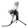 Microphone Logo