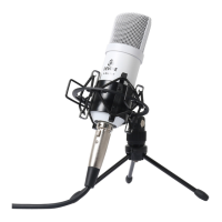Preview: Devine M-Mic USB W