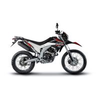Preview: LONCIN LX250GY-3