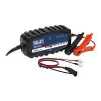 Preview: Sealey AUTOCHARGE200HF