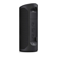 Preview: Scosche BOOMBOTTLE MM