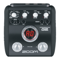 Preview: Zoom G2