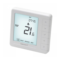 Preview: prowarm ProDigital