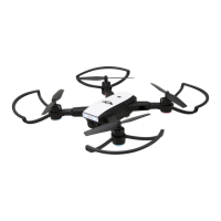 Preview: sky rider RAVEN DRWG538 v2139-01