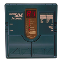 Preview: Zoom 504 Acoustic