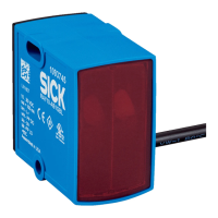 Preview: SICK MultiTask RAY10 Series