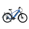 Bicycle Logo