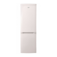 Preview: Beko CSA31021X