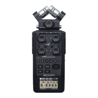 Preview: Zoom H6