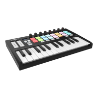 Preview: Worlde Orca mini 25
