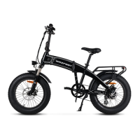 Preview: MaxFoot MF-19