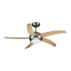 Fan Logo
