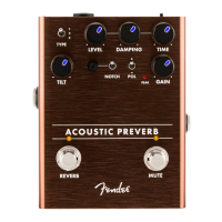 Preview: Fender ACOUSTIC PREVERB