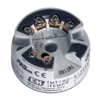 Preview: Endress+Hauser iTEMP Pt TMT180