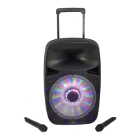 Preview: Party Light & Sound PARTY-SP500