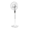 Fan Logo