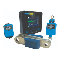 Preview: Cranesmart Systems LMI System