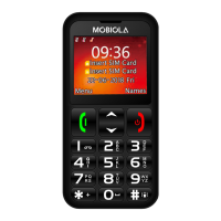 Preview: Mobiola MB700