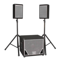 Preview: Peavey TriFlex