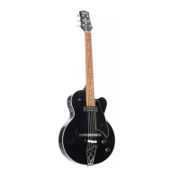 Preview: Vox Giulietta VGA-3D