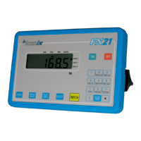 Preview: Iconix FX21
