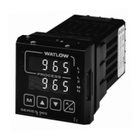 Preview: Watlow 965 Series