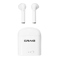 Preview: Craig CBH568