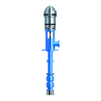 Preview: Goulds Pumps VIT
