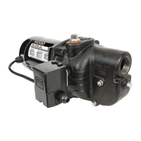 Preview: RIDGID RSWS Series