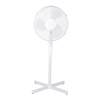 Fan Logo