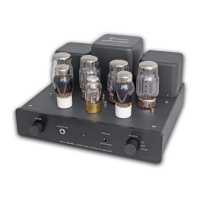Preview: icon Audio Stereo 25 MK II
