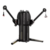 Preview: Nautilus Human Sport Freedom Trainer