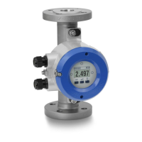 Preview: KROHNE H250 M10