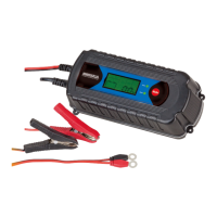 Preview: POWERTECH PLUS MB3613