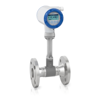 Preview: KROHNE OPTISWIRL 2100