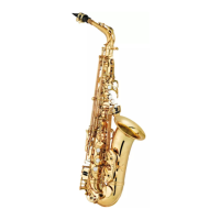 Preview: Antigua Soprano