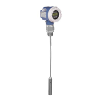 Preview: Endress+Hauser Levelflex M FMP40