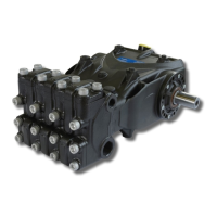 Preview: Interpump General Pump EV Series