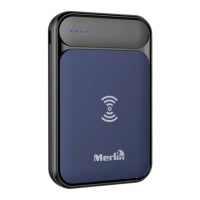 Preview: Merlin Flash 4000