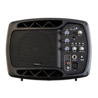 Preview: Ibiza sound MS5-150