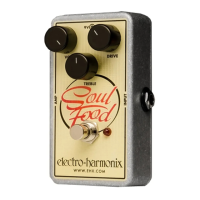 Preview: Electro-Harmonix SOUL FOOD