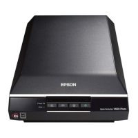 Preview: Epson Perfection V600