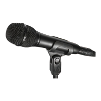 Preview: Audio Technica AT2010